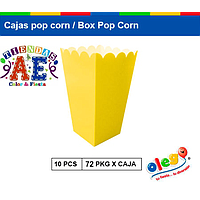 CAJA PARA CANCHA X 10 und